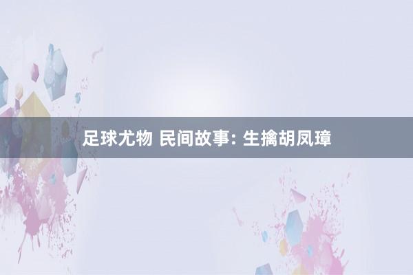 足球尤物 民间故事: 生擒胡凤璋