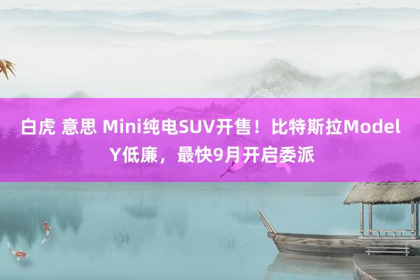 白虎 意思 Mini纯电SUV开售！比特斯拉Model Y低廉，最快9月开启委派