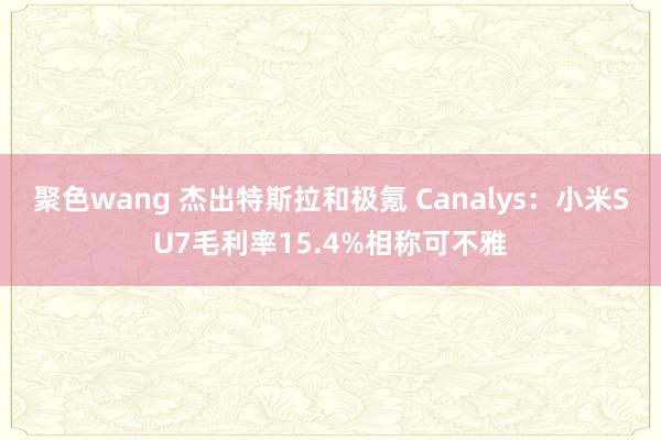 聚色wang 杰出特斯拉和极氪 Canalys：小米SU7毛利率15.4%相称可不雅