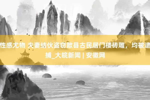 性感尤物 夫妻结伙盗窃歙县古民居门楼砖雕，均被逮捕_大皖新闻 | 安徽网