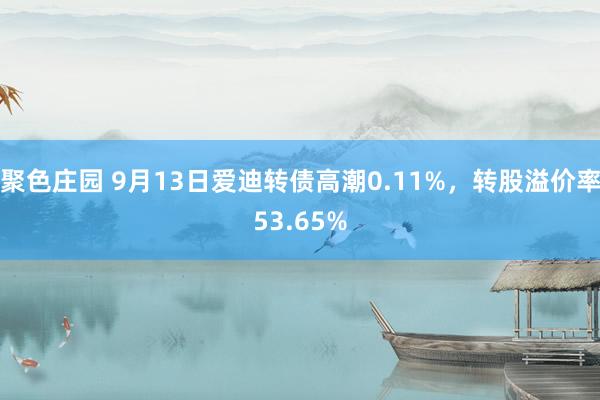 聚色庄园 9月13日爱迪转债高潮0.11%，转股溢价率53.65%