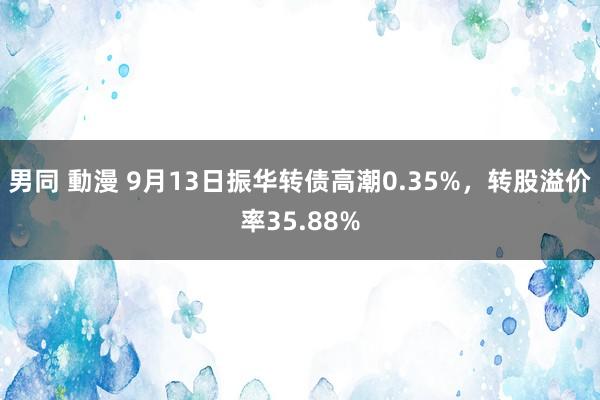 男同 動漫 9月13日振华转债高潮0.35%，转股溢价率35.88%