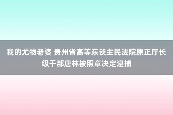 我的尤物老婆 贵州省高等东谈主民法院原正厅长级干部唐林被照章决定逮捕