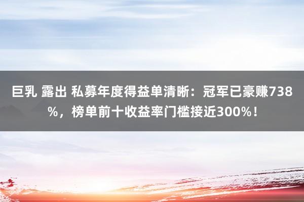 巨乳 露出 私募年度得益单清晰：冠军已豪赚738%，榜单前十收益率门槛接近300%！