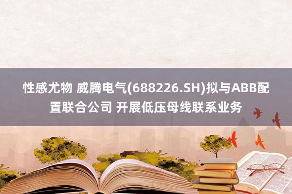 性感尤物 威腾电气(688226.SH)拟与ABB配置联合公司 开展低压母线联系业务