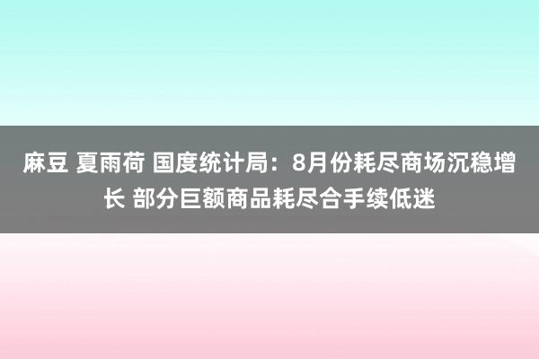 麻豆 夏雨荷 国度统计局：8月份耗尽商场沉稳增长 部分巨额商品耗尽合手续低迷