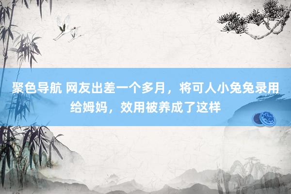 聚色导航 网友出差一个多月，将可人小兔兔录用给姆妈，效用被养成了这样