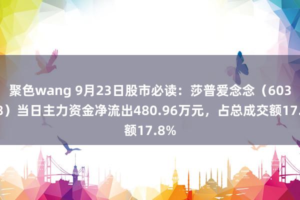 聚色wang 9月23日股市必读：莎普爱念念（603168）当日主力资金净流出480.96万元，占总成交额17.8%