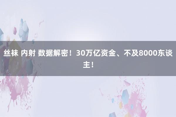 丝袜 内射 数据解密！30万亿资金、不及8000东谈主！