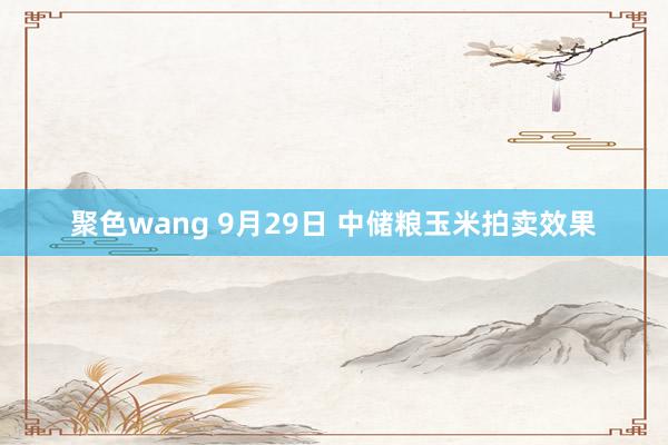 聚色wang 9月29日 中储粮玉米拍卖效果