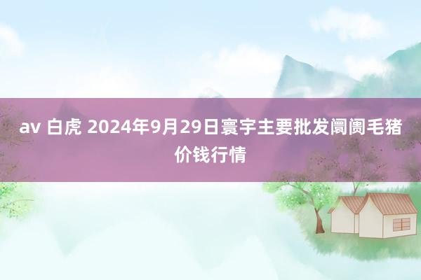 av 白虎 2024年9月29日寰宇主要批发阛阓毛猪价钱行情