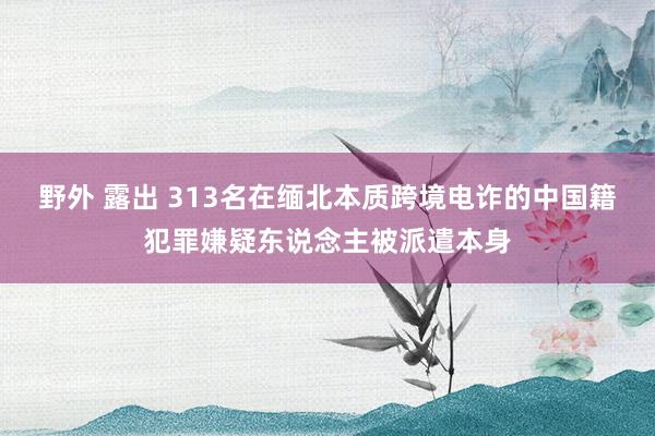 野外 露出 313名在缅北本质跨境电诈的中国籍犯罪嫌疑东说念主被派遣本身