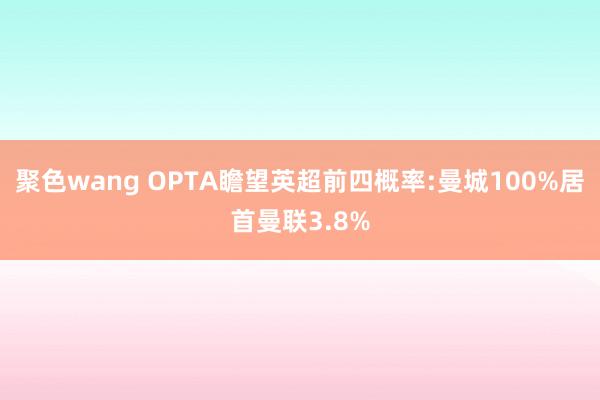 聚色wang OPTA瞻望英超前四概率:曼城100%居首曼联3.8%