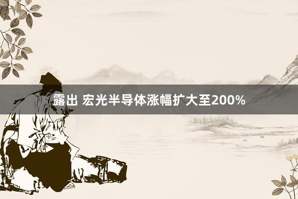 露出 宏光半导体涨幅扩大至200%