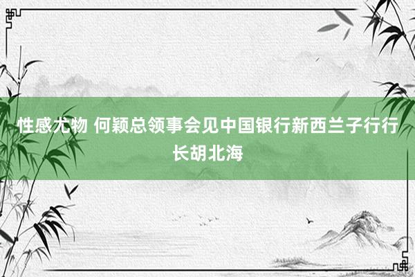 性感尤物 何颖总领事会见中国银行新西兰子行行长胡北海