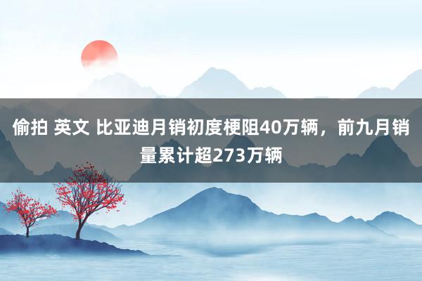 偷拍 英文 比亚迪月销初度梗阻40万辆，前九月销量累计超273万辆