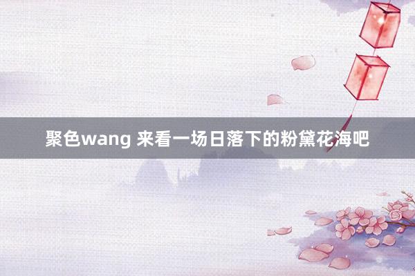 聚色wang 来看一场日落下的粉黛花海吧