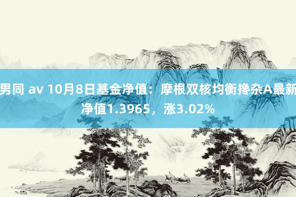 男同 av 10月8日基金净值：摩根双核均衡搀杂A最新净值1.3965，涨3.02%