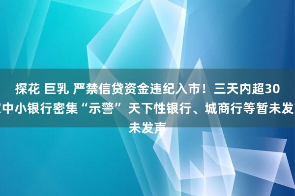 探花 巨乳 严禁信贷资金违纪入市！三天内超30家中小银行密集“示警” 天下性银行、城商行等暂未发声