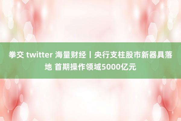 拳交 twitter 海量财经丨央行支柱股市新器具落地 首期操作领域5000亿元