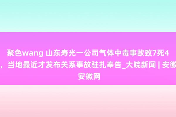 聚色wang 山东寿光一公司气体中毒事故致7死4伤，当地最近才发布关系事故驻扎奉告_大皖新闻 | 安徽网