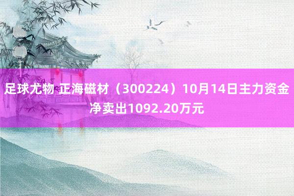 足球尤物 正海磁材（300224）10月14日主力资金净卖出1092.20万元