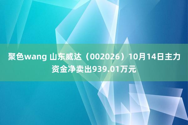 聚色wang 山东威达（002026）10月14日主力资金净卖出939.01万元