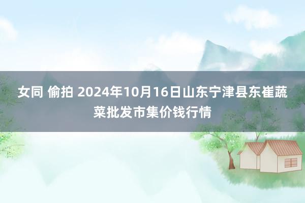 女同 偷拍 2024年10月16日山东宁津县东崔蔬菜批发市集价钱行情