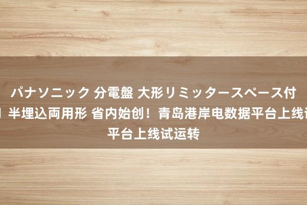 パナソニック 分電盤 大形リミッタースペース付 露出・半埋込両用形 省内始创！青岛港岸电数据平台上线试运转