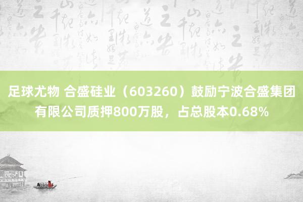 足球尤物 合盛硅业（603260）鼓励宁波合盛集团有限公司质押800万股，占总股本0.68%