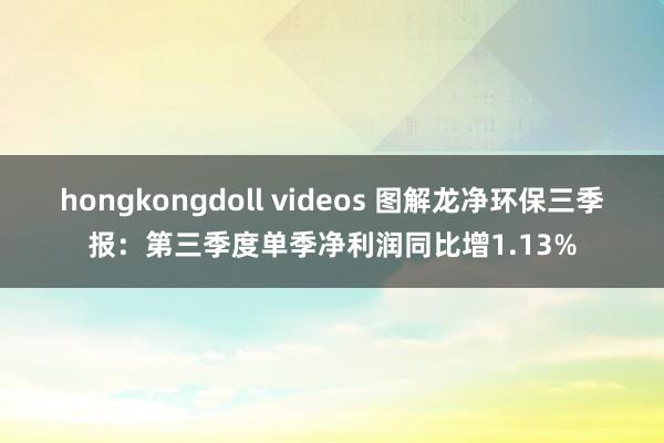 hongkongdoll videos 图解龙净环保三季报：第三季度单季净利润同比增1.13%