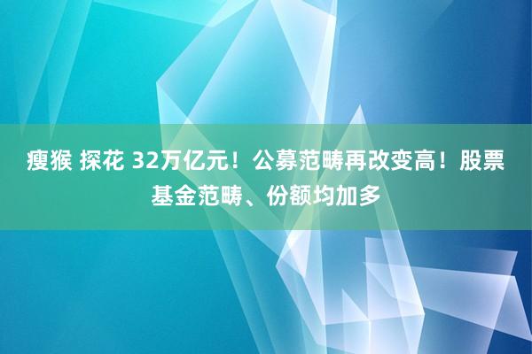 瘦猴 探花 32万亿元！公募范畴再改变高！股票基金范畴、份额均加多