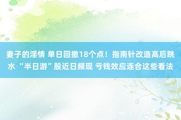 妻子的淫情 单日回撤18个点！指南针改造高后跳水 “半日游”股近日频现 亏钱效应连合这些看法