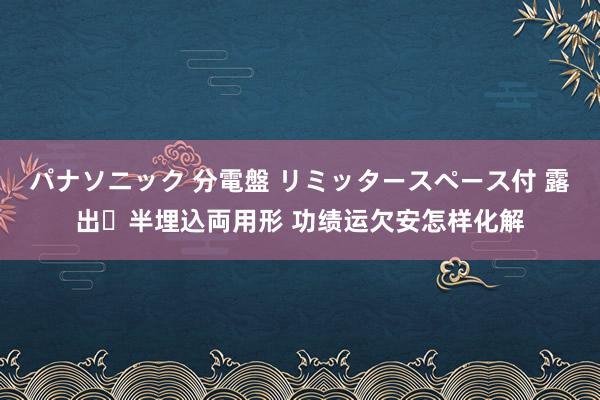 パナソニック 分電盤 リミッタースペース付 露出・半埋込両用形 功绩运欠安怎样化解