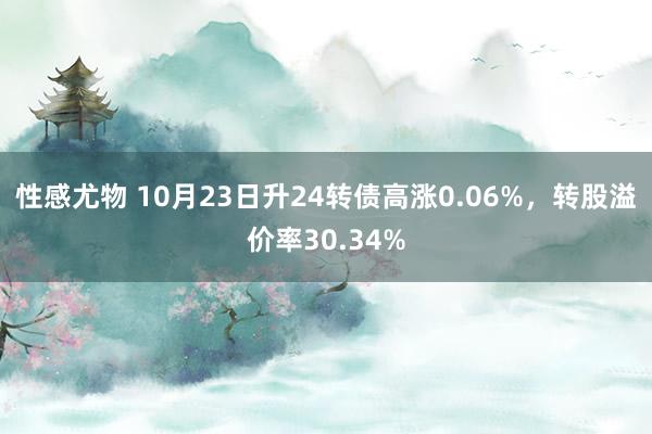 性感尤物 10月23日升24转债高涨0.06%，转股溢价率30.34%