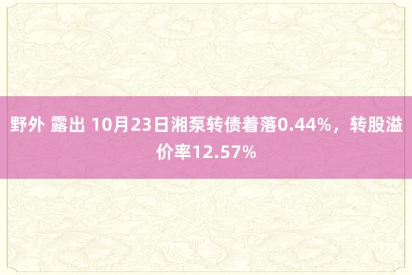 野外 露出 10月23日湘泵转债着落0.44%，转股溢价率12.57%