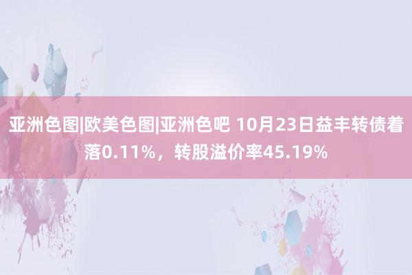 亚洲色图|欧美色图|亚洲色吧 10月23日益丰转债着落0.11%，转股溢价率45.19%