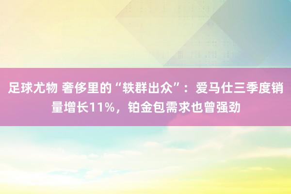 足球尤物 奢侈里的“轶群出众”：爱马仕三季度销量增长11%，铂金包需求也曾强劲