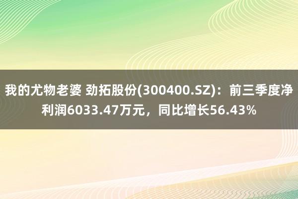 我的尤物老婆 劲拓股份(300400.SZ)：前三季度净利润6033.47万元，同比增长56.43%