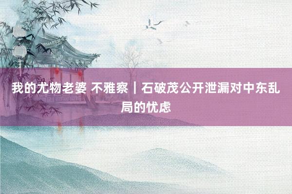 我的尤物老婆 不雅察｜石破茂公开泄漏对中东乱局的忧虑