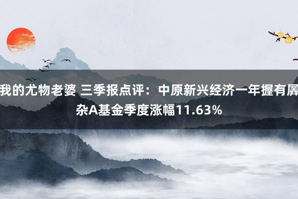 我的尤物老婆 三季报点评：中原新兴经济一年握有羼杂A基金季度涨幅11.63%