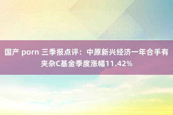 国产 porn 三季报点评：中原新兴经济一年合手有夹杂C基金季度涨幅11.42%