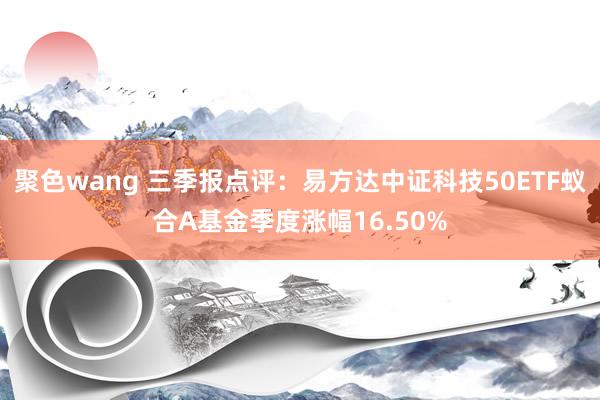 聚色wang 三季报点评：易方达中证科技50ETF蚁合A基金季度涨幅16.50%