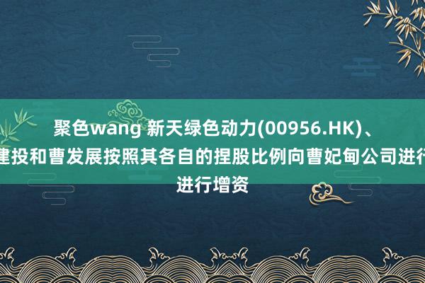 聚色wang 新天绿色动力(00956.HK)、河北建投和曹发展按照其各自的捏股比例向曹妃甸公司进行增资