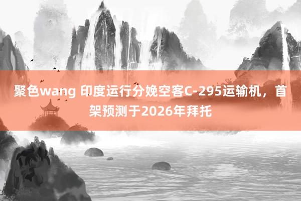 聚色wang 印度运行分娩空客C-295运输机，首架预测于2026年拜托