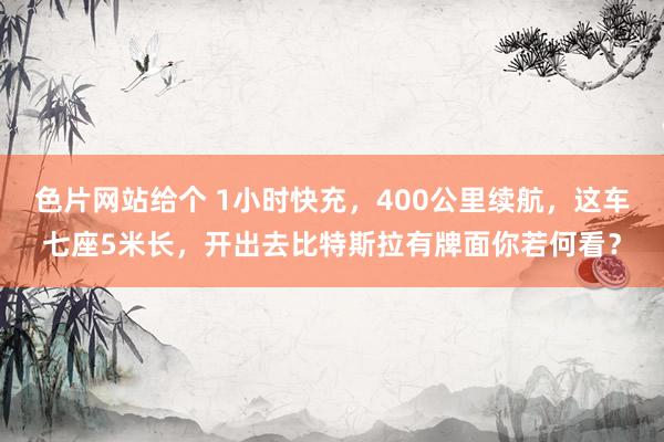 色片网站给个 1小时快充，400公里续航，这车七座5米长，开出去比特斯拉有牌面你若何看？