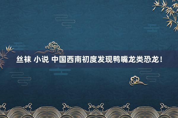 丝袜 小说 中国西南初度发现鸭嘴龙类恐龙！