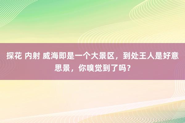 探花 内射 威海即是一个大景区，到处王人是好意思景，你嗅觉到了吗？