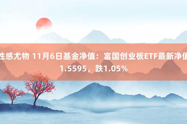 性感尤物 11月6日基金净值：富国创业板ETF最新净值1.5595，跌1.05%