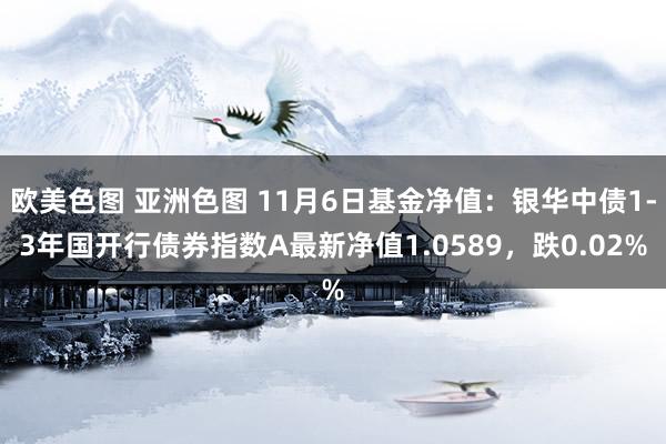 欧美色图 亚洲色图 11月6日基金净值：银华中债1-3年国开行债券指数A最新净值1.0589，跌0.02%